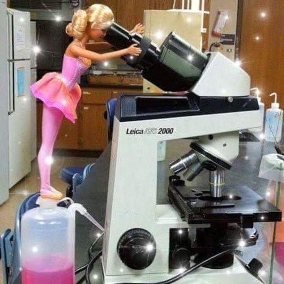 Meet your Posher, Sharon - Picture 1 of 1